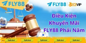 Điều Kiện Khuyến Mãi FLY88 Phải Nắm Rõ Để Không Bỏ Lỡ